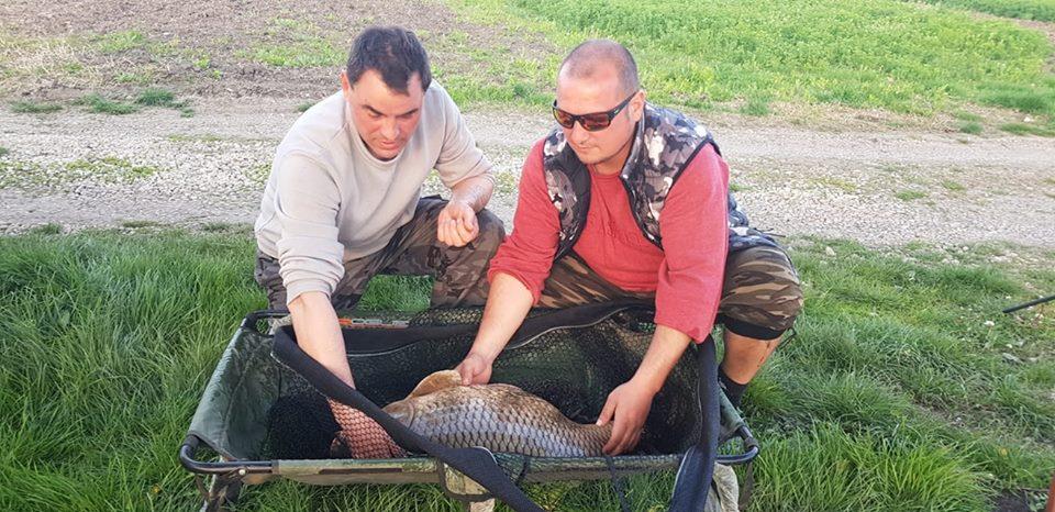 C&R - 5759371522355683331868848195217055864061952n1.jpg